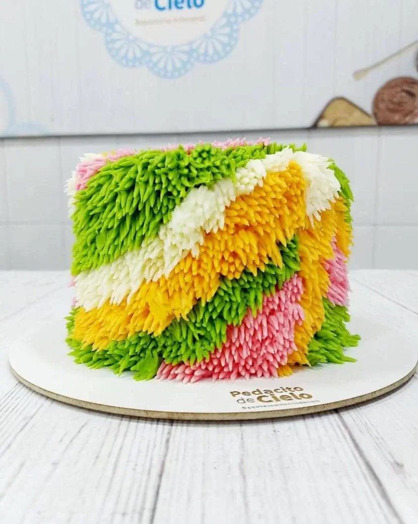 shagcake 1